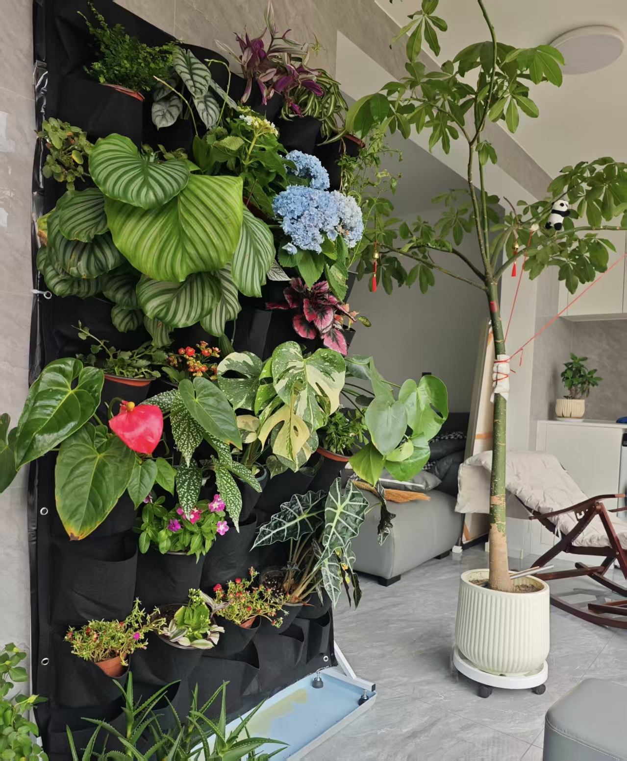1.0版本植物墙
