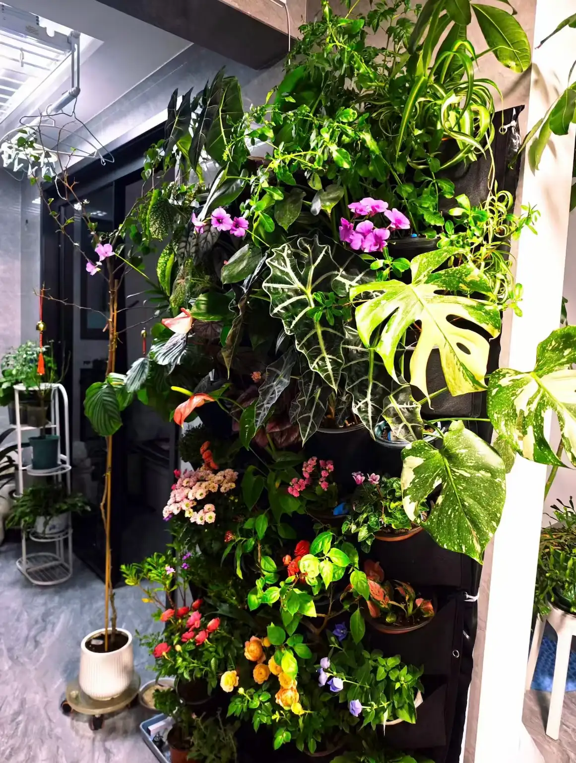 2.0版本绿植墙