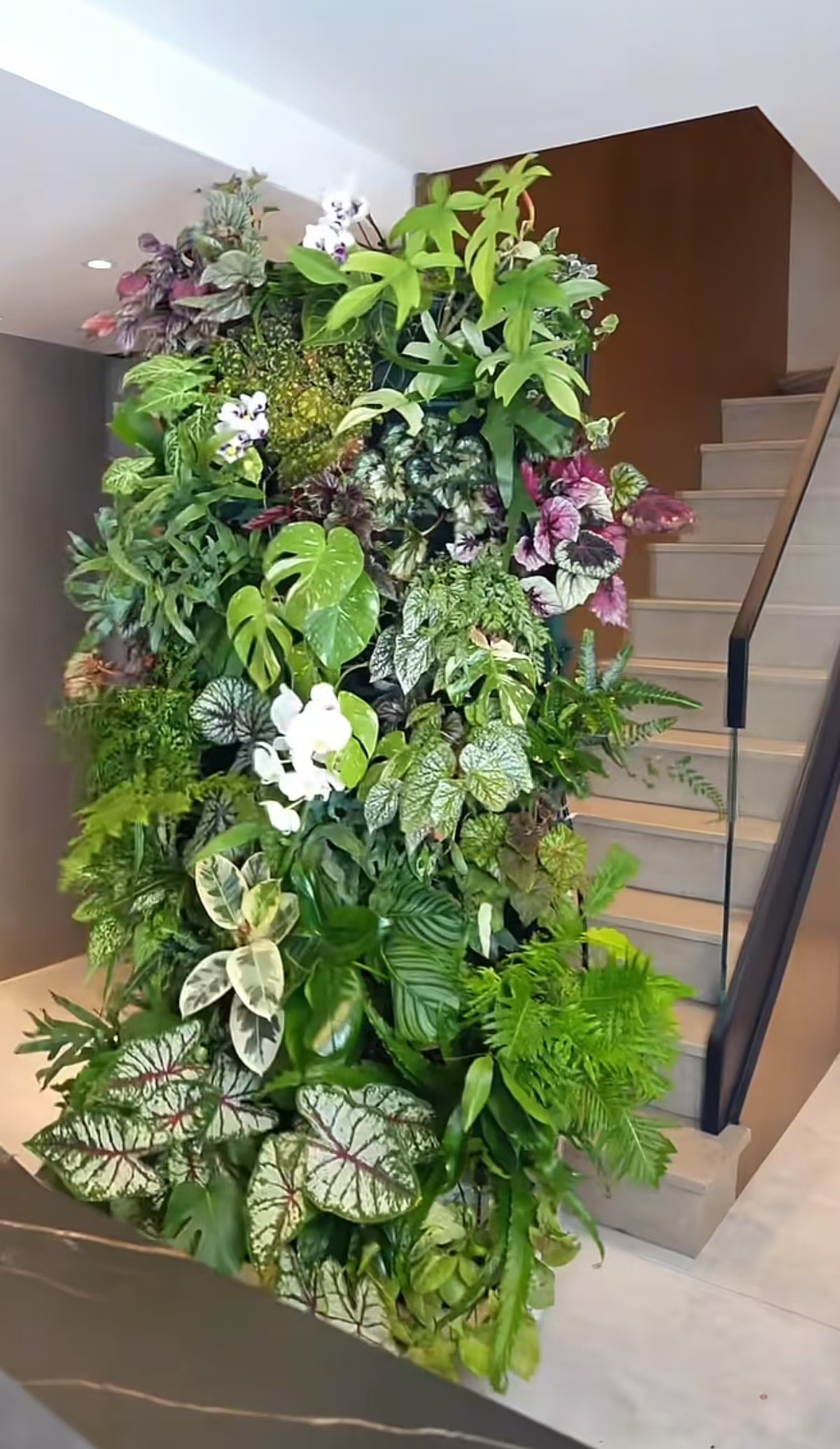抖音可移动花架